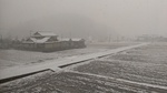2012-12-31 15.52.07.jpg